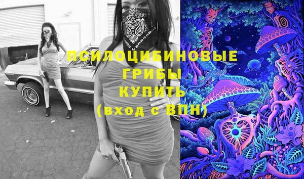 ПСИЛОЦИБИНОВЫЕ ГРИБЫ Абдулино