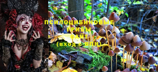 ПСИЛОЦИБИНОВЫЕ ГРИБЫ Абдулино