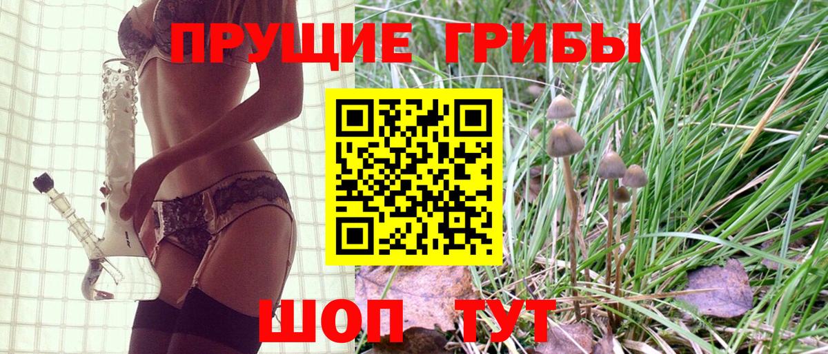 сколько стоит  Вход с VPN  Кимовск  Галлюциногенные грибы MAGIC MUSHROOMS 
